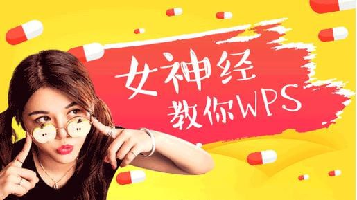 网易云课堂教程：女神经教你玩WPS（共50课）