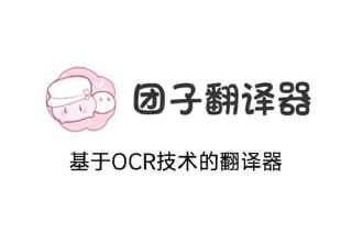 团子翻译器-基于OCR的生肉翻译软件 翻译器