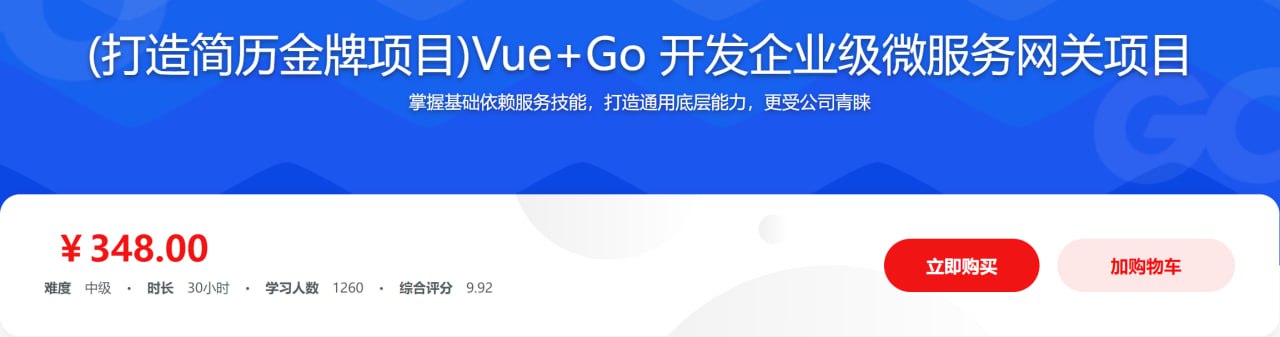 Vue+Go 开发企业级微服务网关项目 - 带源码课件