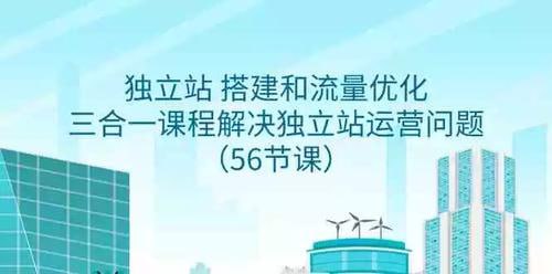 独立站搭建和流量优化三合一课程：解决独立站运营问题(56节课)