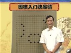 围棋入门快易精-王元围棋视频讲座