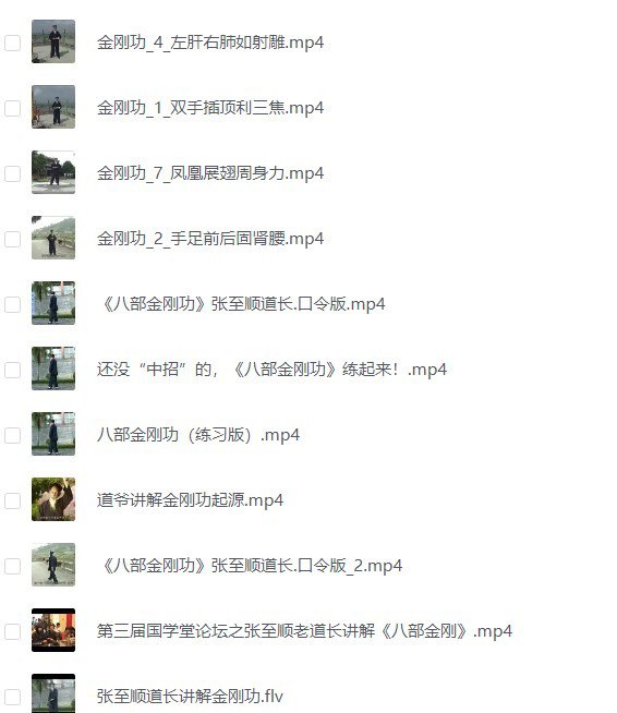 《张志顺道长全集》视频+音频 附道长简介[MP4FLV]