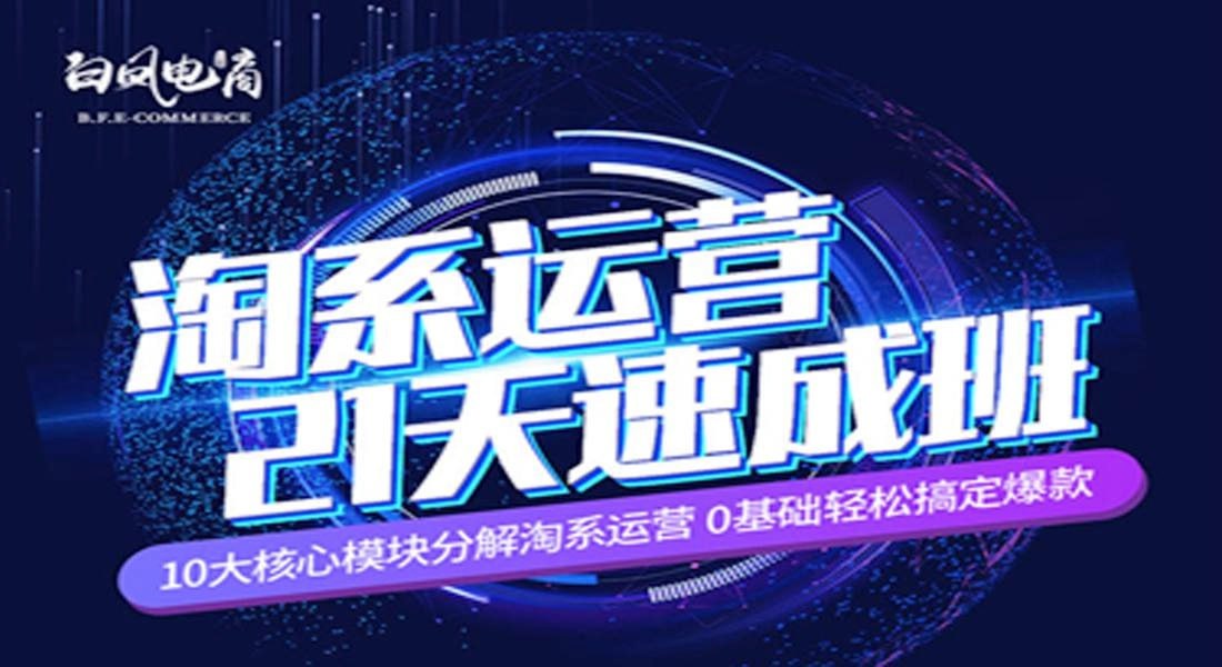 白凤电商：淘系运营21天速成班